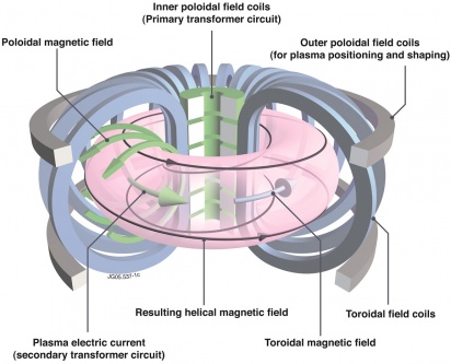 tokamak fusion reactor explained.jpg